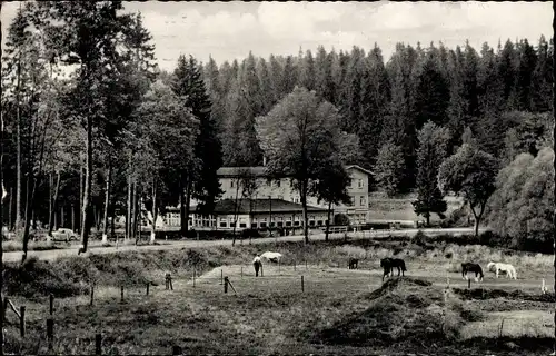 Ak Braunlage im Oberharz, Caritas Kinderkurheim Waldmühle