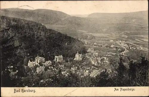 Ak Bad Harzburg in Niedersachsen, Am Papenberge