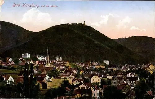 Ak Bad Harzburg in Niedersachsen, Totalansicht, Ort, Burgberg