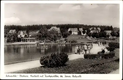 Ak Hahnenklee Bockswiese Goslar im Harz, Kurteich mit Trinkpavillon der Irenen Heilquelle