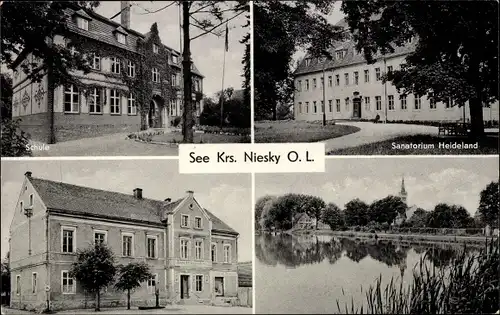 Ak See Niesky in der Oberlausitz, Sanatorium Heideland, Schule, Gasthaus Gerichtskretscham