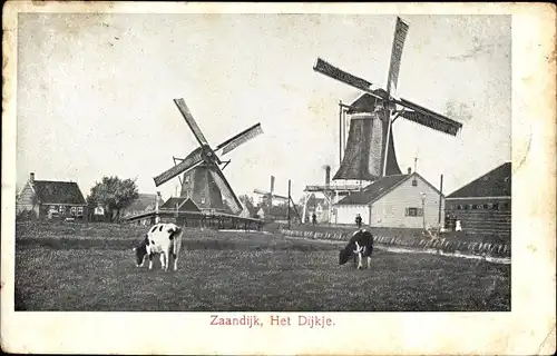 Ak Zaandijk Nordholland, Het Dijkje, Kuhweide