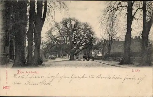 Ak Bordesholm in Holstein, Linde, Straßenpartie