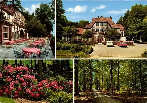 Ak Dünsen Harpstedt in Oldenburg Niedersachsen, Hotel Waldfrieden, Waldpartie