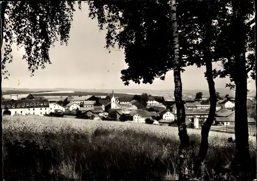 Ak Zandt in der Oberpfalz, Teilansicht