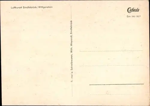 Ak Erndtebrück Nordrhein Westfalen, Blick auf den Ort