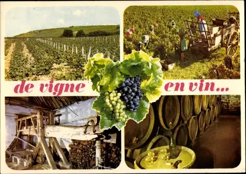 Ak Frankreich, De Vigne en Vin, Weinberg, Weinlese, Fässer im Weinkeller