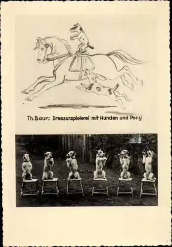 Foto Ak Dressurspielerei mit Hunden und Pony, Th. Baur