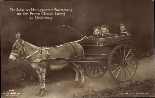 Ak Söhne des Herzogspaares von Braunschweig mit Prinz Christian Ludwig zu Mecklenburg, Esel