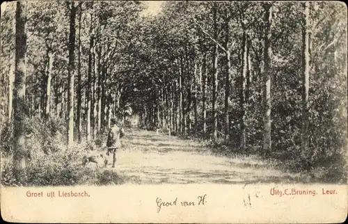 Ak Liesbosch Liesbos Breda Nordbrabant Niederlande, Allee, Mann mit Hund