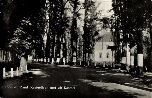 Ak Loon op Zand Nordbrabant, Kasteellaan met Kasteel