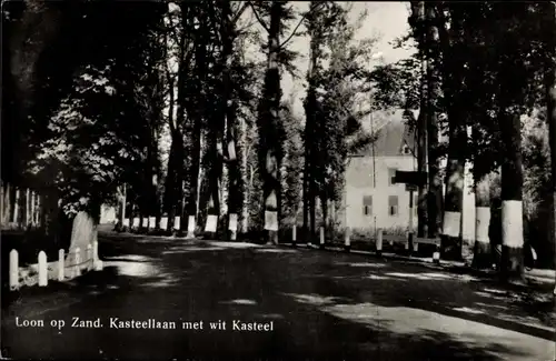 Ak Loon op Zand Nordbrabant, Kasteellaan met Kasteel