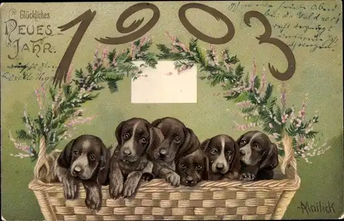 Künstler Ak Mailick, Glückwunsch Neujahr 1903, Hunde im Korb