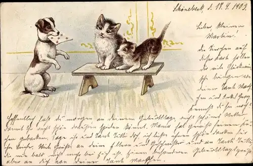 Ak Zwei Katzen und Hund mit Brief