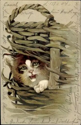 Litho Braune Katze in einem Korb