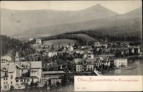 Ak Karpacz Górny Brückenberg Krummhübel Riesengebirge Schlesien, Blick auf Ober-Krummhübel