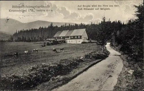 Ak Karpacz Górny Brückenberg Krummhübel Riesengebirge Schlesien, Rübezahl-Schnurrbartbaude