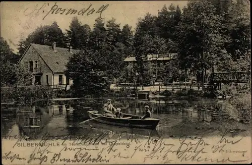 Ak Horn Bad Meinberg am Teutoburger Wald, Gasthaus Silbermühle bei Liepoldstal