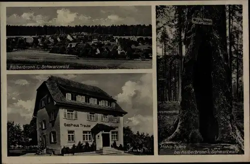 Ak Kälberbronn Pfalzgrafenweiler im Schwarzwald, Hohle Tanne, Gasthaus Zur Traube, Blick auf den Ort