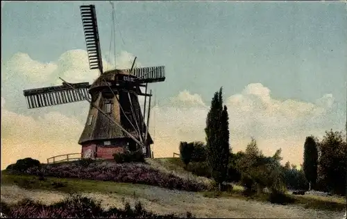 Ak Harpstedt in Niedersachsen, Alte Windmühle, Blühende Heide