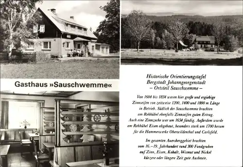 Ak Sauschwemme Johanngeorgenstadt im Erzgebirge, Gasthaus Sauschwemme, Gastraum, Außenansichten