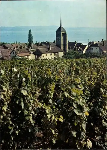 Ak Saint Blaise la Roche Elsass Bas Rhin, Das les Vignes, Ortsansicht