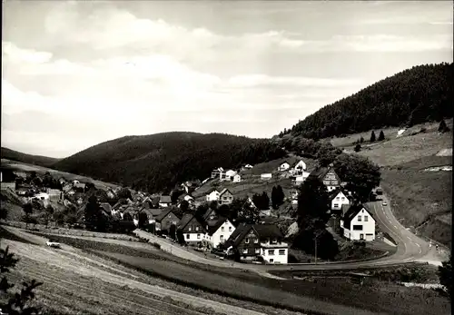 Ak Schwalefeld Willingen Upland Waldeck, Panorama