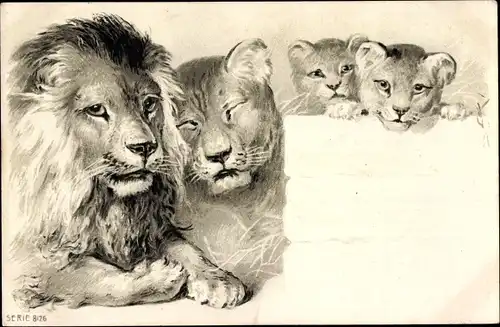 Litho Löwenfamilie, Jungtiere, Tierportrait
