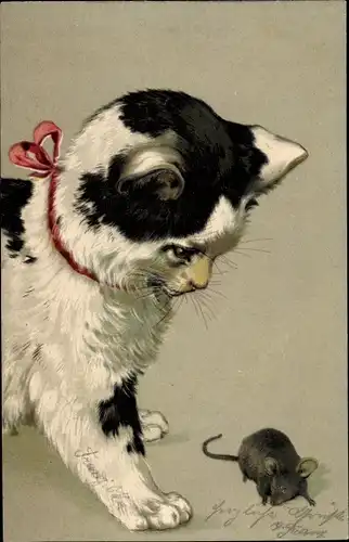Litho Schwarz weiße Katze beobachtet eine Maus