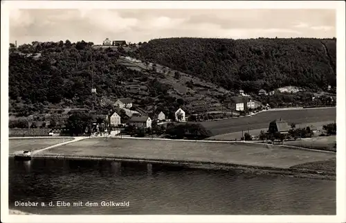 Ak Diesbar Seußlitz Nünchritz an der Elbe, Teilansicht mit Golkwald