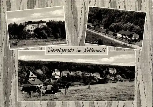 Ak Wenzigerode Bad Zwesten im Kellerwald, Haus Ebersberg, Ortschaft mit Landschaftsblick