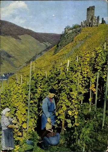 Ak Beilstein an der Mosel, Weinlese, Ruine