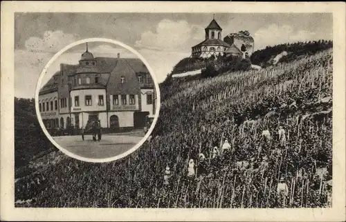 Ak Cobern Kobern Gondorf an der Mosel, Hotel Simonis, Weinberg