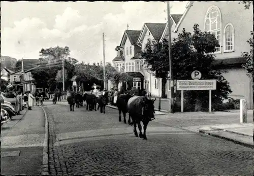 Ak Hahnenklee Bockswiese Goslar im Harz, Hauptstraße, Damenkapelle