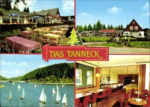 Ak Schulenberg Clausthal Zellerfeld im Oberharz, Hotel Das Tanneck