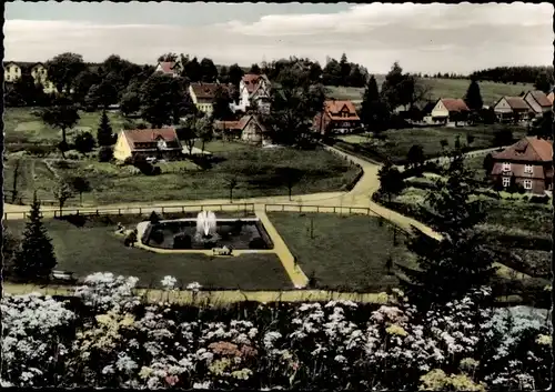 Ak Hahnenklee Bockswiese Goslar im Harz, Teilansicht Bockswiese