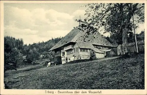 Ak Triberg im Schwarzwald, Bauernhaus über dem Wasserfall