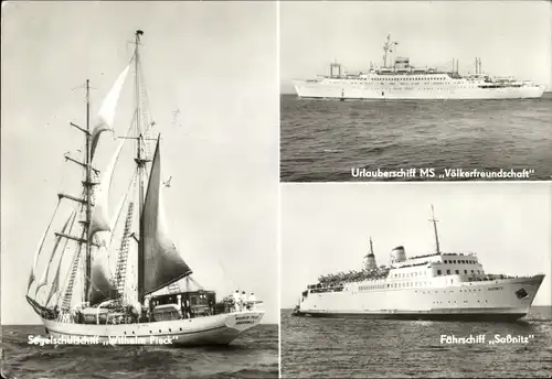 Ak Segelschulschiff Wilhelm Pieck, FDGB Urlauberschiff Völkerfreundschaft, Fährschiff Sassnitz