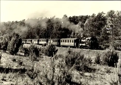 Ak  Insel Rügen, Schmalspurbahn Rasender Roland, Personenzug zwischen Garftitz und Sellin