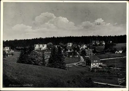 Ak Hahnenklee Bockswiese Goslar im Harz, Gesamtansicht