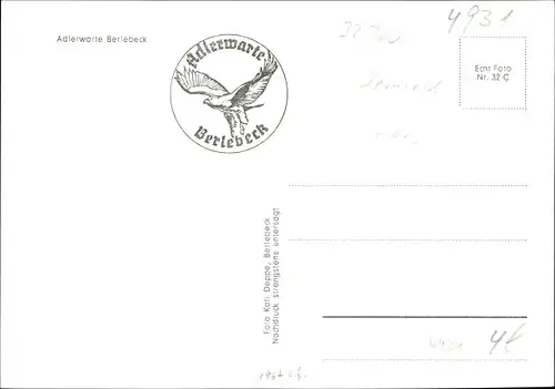 Ak Berlebeck Detmold im Teutoburger Wald, Adlerwarte