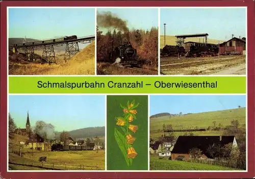 Ak Oberwiesenthal im Erzgebirge, Schmalspurbahn Cranzahl, Ortsblick