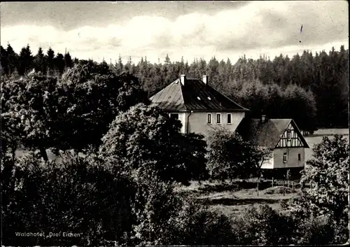 Ak Stahlhofen am Wiesensee im Westerwald, Hotel Drei Eichen, Wald, Harschbacher Feld