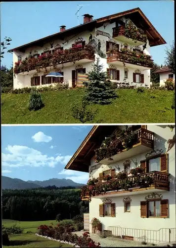 Ak Bernau am Chiemsee, Gästehaus Alphorn, Engelländerstraße 1