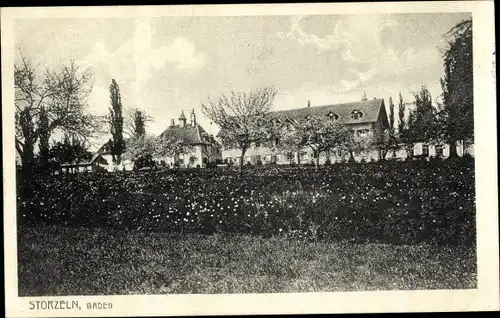 Ak Storzeln Hilzingen im Hegau, Ortsansicht