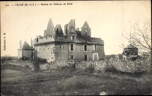 Ak Tigné Maine et Loire, Ruines du Château de Riou