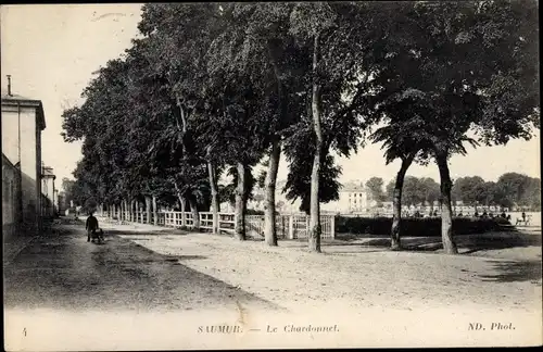 Ak Saumur Maine et Loire, le Chardonnet