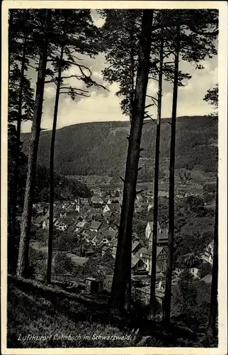 Ak Calmbach Bad Wildbad im Schwarzwald, Gesamtansicht
