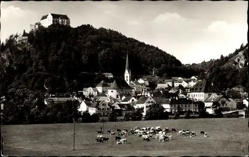 Ak Riedenburg in Niederbayern, Blick auf den Ort, Kühe auf der Weide