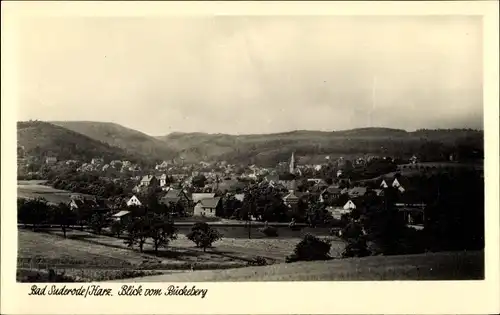 Ak Bad Suderode Quedlinburg im Harz, Blick vom Bückeberg